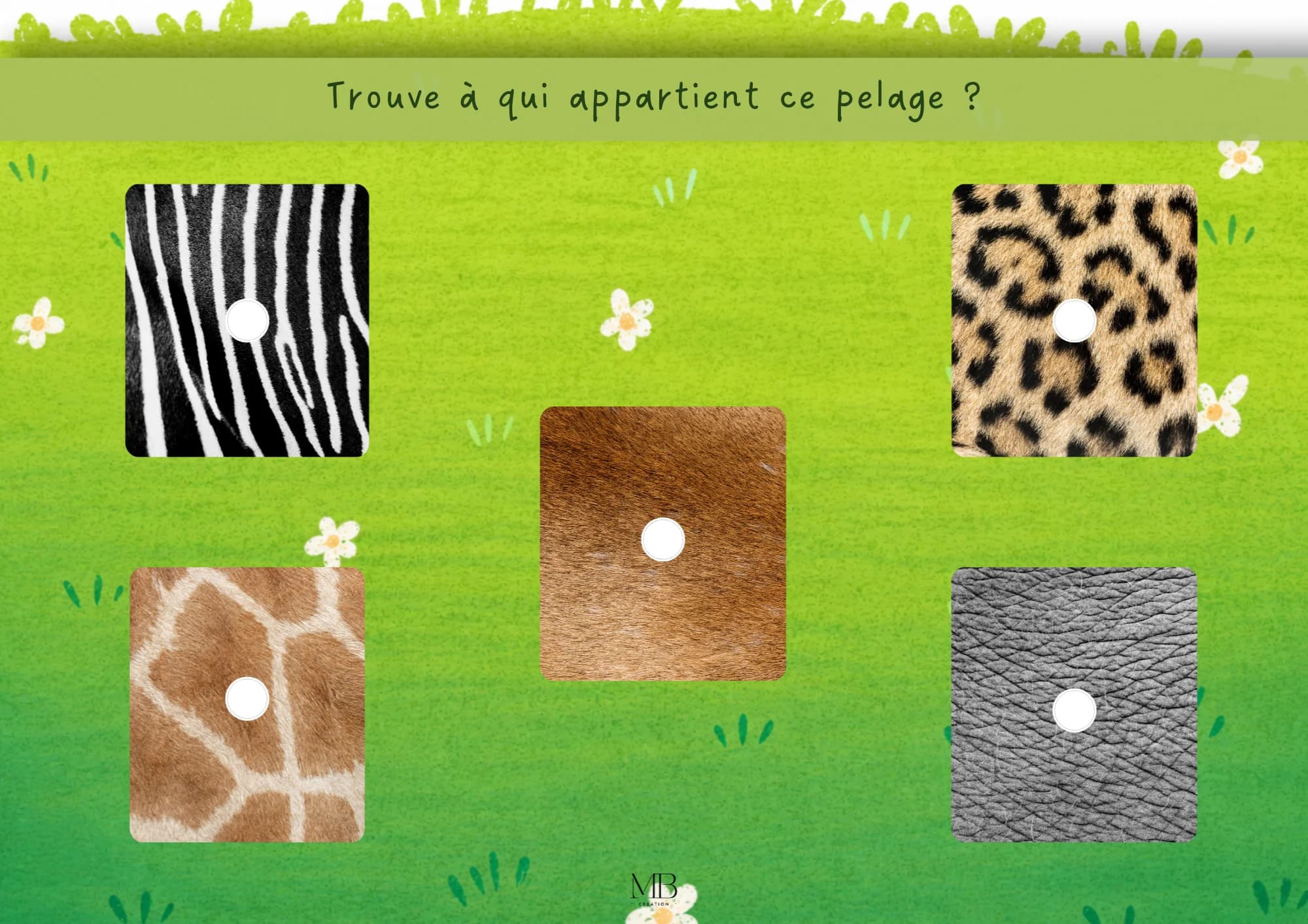 Pelage des animaux — photo 2