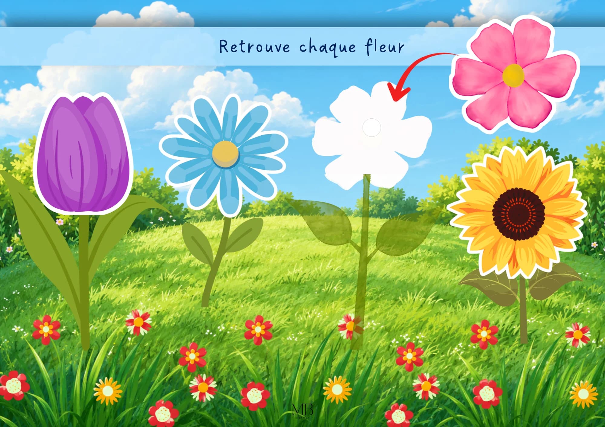 Retrouve chaque fleur